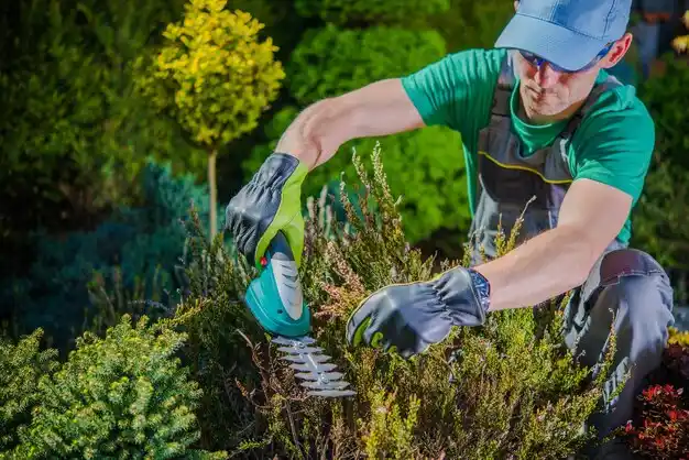 landscaping services Grandview